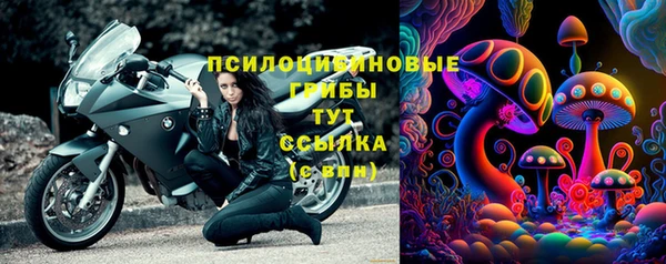 гидропоника Лагань