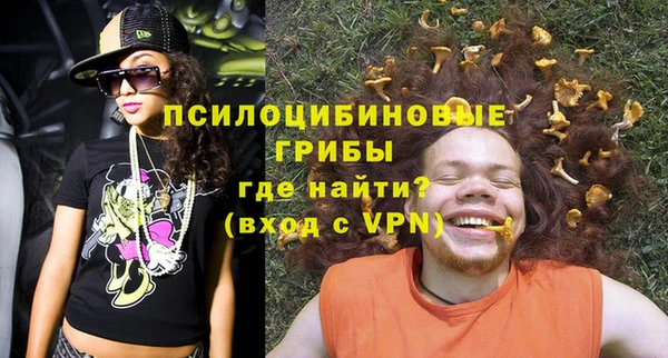 дживик Ладушкин