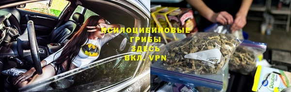 соль курить ск Переславль-Залесский