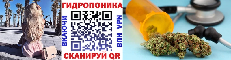где можно купить наркотик  Ядрин  blacksprut зеркало  Канабис White Widow 
